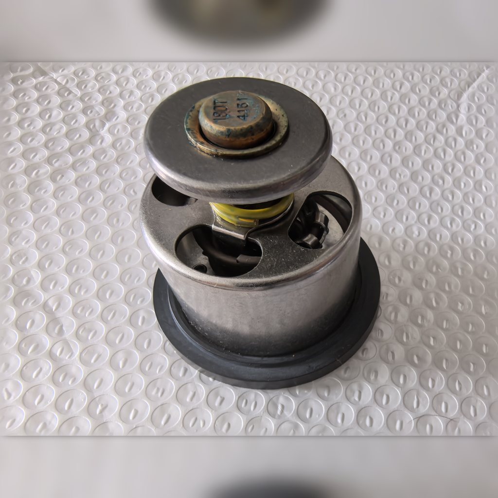 3180004 Water Regulator - regulator showing its spring and metal cap
