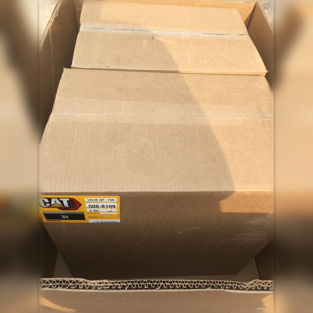 5068199 Fuel Valve Group - large closed labeled carton
